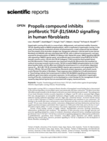 Propolis compound inhibits profibrotic TGF-β1/SMAD signalling in human fibroblasts