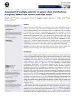 Assessment of multiple paternity in spinner shark (Carcharhinus brevipinna) litters from eastern Australian waters