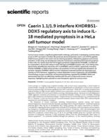 Caerin 1.1/1.9 interfere KHDRBS1-DDX5 regulatory axis to induce IL-18 mediated pyroptosis in a HeLa cell tumour model