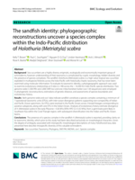 The sandfish identity: phylogeographic reconstructions uncover a species complex within the Indo-Pacific distribution of Holothuria (Metriatyla) scabra