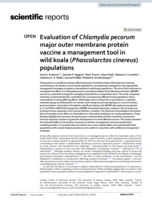 Evaluation of Chlamydia pecorum major outer membrane protein vaccine a management tool in wild koala (Phascolarctos cinereus) populations