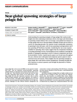 Near-global spawning strategies of large pelagic fish