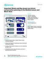 Important Shark and Ray Areas can inform conservation planning in the Mediterranean and Black Seas