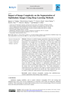 Impact of Image Complexity on the Segmentation of Ophthalmic Images Using Deep Learning Methods