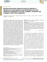 Real-time fluorometric isothermal assays for detection of Streptococcus equi subspecies equi and Streptococcus equi subspecies zooepidemicus in horses: Validation, comparison and evaluation of their clinical application
