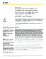 Stably engineered nanobubbles and ultrasound - An effective platform for enhanced macromolecular delivery to representative cells of the retina