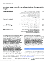 Low-level features predict perceived similarity for naturalistic images