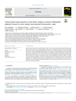 Venom gland transcriptomics of the Black Judaicus scorpion (Hottentotta judaicus) reveals its toxin arsenal and potential bioeconomic value