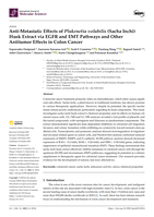 Anti-Metastatic Effects of Plukenetia volubilis (Sacha Inchi) Husk Extract via EGFR and EMT Pathways and Other Antitumor Effects in Colon Cancer