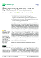 Effect of Deployment and Harvest Date on Growth and High-Value Compounds of Farmed Alaria esculenta