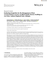 Evaluating Fungicides for the Management of Rust (Uromycladium acaciae) on Black Wattle Nursery Seedlings in Awi Zone, Amhara Regional State, Ethiopia