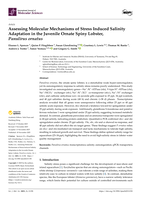 Assessing Molecular Mechanisms of Stress Induced Salinity Adaptation in the Juvenile Ornate Spiny Lobster, Panulirus ornatus