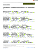 Vulnerability of marine megafauna to global at-sea anthropogenic threats