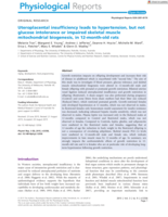 Uteroplacental insufficiency leads to hypertension, but not glucose intolerance or impaired skeletal muscle mitochondrial biogenesis, in 12-month-old rats