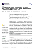 Treatment of Diet-Induced Obese Rats with CB2 Agonist AM1241 or CB2 Antagonist AM630 Reduces Leptin and Alters Thermogenic mRNA in Adipose Tissue