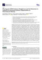CB1 Ligand AM251 Induces Weight Loss and Fat Reduction in Addition to Increased Systemic Inflammation in Diet-Induced Obesity