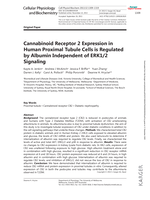 Cannabinoid receptor 2 expression in human proximal tubule cells is regulated by albumin independent of ERK1/2 signaling