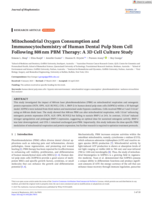 Mitochondrial Oxygen Consumption and Immunocytochemistry of Human Dental Pulp Stem Cell Following 808 nm PBM Therapy: A 3D Cell Culture Study