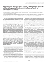 The ubiquitin-protein ligase Nedd4-2 differentially interacts with and regulates members of the Tweety family of chloride ion channels