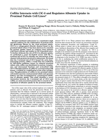 Cofilin Interacts with ClC-5 and Regulates Albumin Uptake in Proximal Tubule Cell Lines