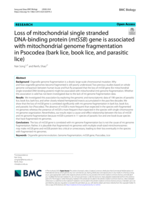Loss of mitochondrial single stranded DNA-binding protein (mtSSB) gene is associated with mitochondrial genome fragmentation in Psocodea (bark lice, book lice, and parasitic lice)