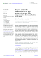 Beyond carbonate biomineralization: why prokaryote-driven CO2 sequestration demands holistic evaluation