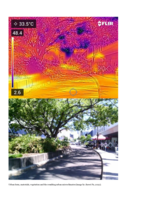 Landscape and Urban Design for improved urban microclimate
