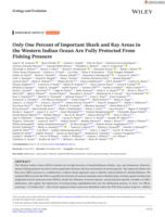 Only One Percent of Important Shark and Ray Areas in the Western Indian Ocean Are Fully Protected From Fishing Pressure