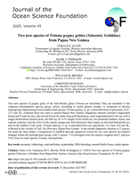 Two new species of Trimma pygmy gobies (Teleostei: Gobiidae) from Papua New Guinea