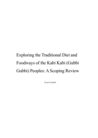 Exploring the Traditional Diet and Foodways of the Kabi Kabi (Gubbi Gubbi) Peoples: A Scoping Review