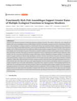 Functionally Rich Fish Assemblages Support Greater Rates of Multiple Ecological Functions in Seagrass Meadows