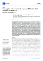 Transcription of the Extensively Fragmented Mitochondrial Genomes of Human Lice