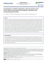 Acinetobacter variabilis represents a diverse species with novel regions associated with antibiotic resistance and surface polysaccharides
