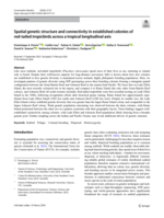 Spatial genetic structure and connectivity in established colonies of red-tailed tropicbirds across a tropical longitudinal axis