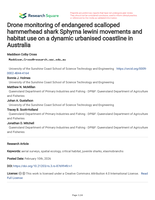 Drone monitoring of endangered scalloped hammerhead shark Sphyrna lewini movements and habitat use on a dynamic urbanised coastline in Australia