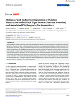 Molecular and Endocrine Regulation of Ovarian Maturation in the Black Tiger Prawn ( Penaeus monodon ) and Associated Challenges in Its Aquaculture