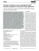 The Role of Interfaces in Ionic Liquid‐Based Hybrid Materials (Ionogels) for Sensing and Energy Applications