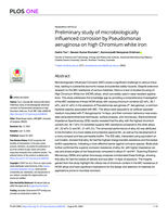 Preliminary study of microbiologically influenced corrosion by Pseudomonas aeruginosa on high Chromium white iron