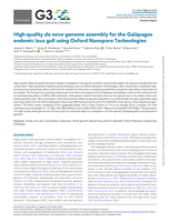 High-quality de novo genome assembly for the Galápagos endemic lava gull using Oxford Nanopore Technologies