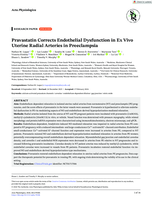 Pravastatin Corrects Endothelial Dysfunction in Ex&nbsp;Vivo Uterine Radial Arteries in Preeclampsia