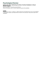 Spiking the mind: Rethinking the role of cortical feedback in visual mental imagery