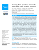 Recovery of soil microbiota in naturally regenerating Acacia mangium ecosystems