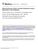 Recent Advances in Sea Cucumber (Holothuria scabra) Mariculture in the Philippines