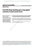 From little things, big things grow: using applied nucleation to restore marine forests