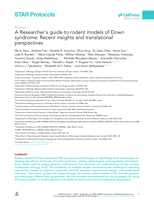 A Researcher’s guide to rodent models of Down syndrome: Recent insights and translational perspectives