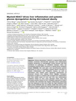 Myeloid HDAC7 drives liver inflammation and systemic glucose dysregulation during diet‐induced obesity