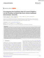 Investigating the Predation Risk of Coastal Dolphins via the Presence of Shark Bite Scars Across Southeast Queensland, Australia