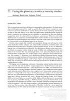 Facing the planetary in critical security studies