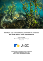 Identifying gaps and establishing priorities in the protection and conservation of batoid elasmobranchs