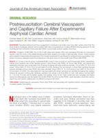 Postresuscitation Cerebral Vasospasm and Capillary Failure After Experimental Asphyxial Cardiac Arrest